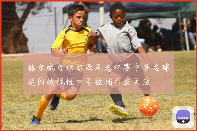 赫尔城与切尔西足总杯赛中多名球迷因歧视性口号被捕引发关注