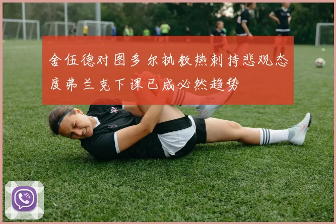 舍伍德对图多尔执教热刺持悲观态度弗兰克下课已成必然趋势
